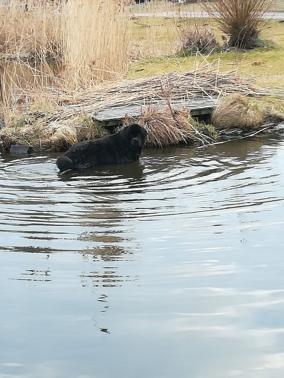 Bild(vereinsleben/bilder/Wasser Bilder/IMG-20180403-WA0007.jpg) konnte nicht geladen werden